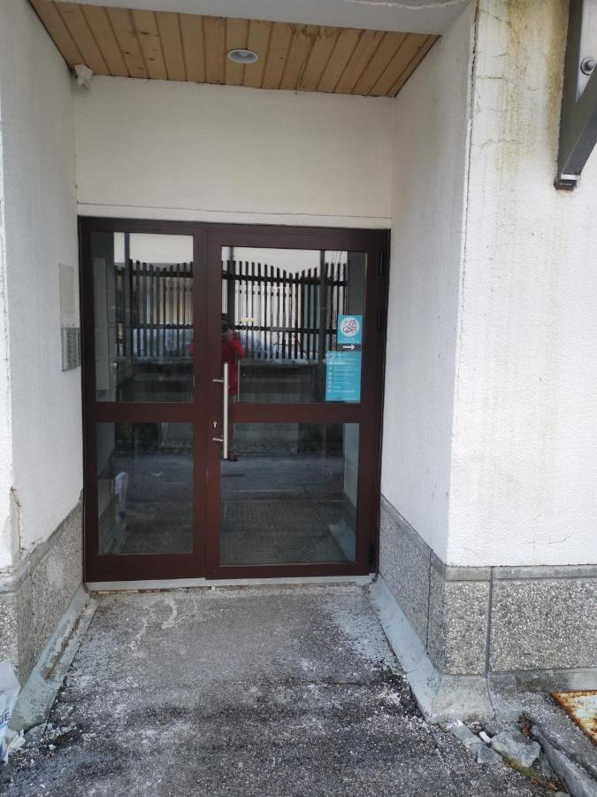Apartma Snezko Kranjska Gora Zewnętrze zdjęcie
