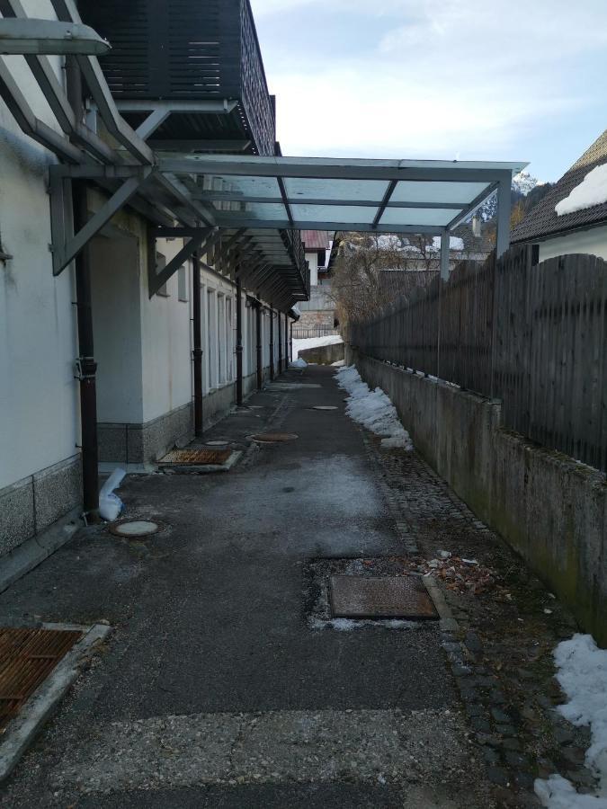 Apartma Snezko Kranjska Gora Zewnętrze zdjęcie